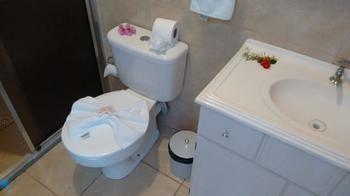Garden Hotel 3*